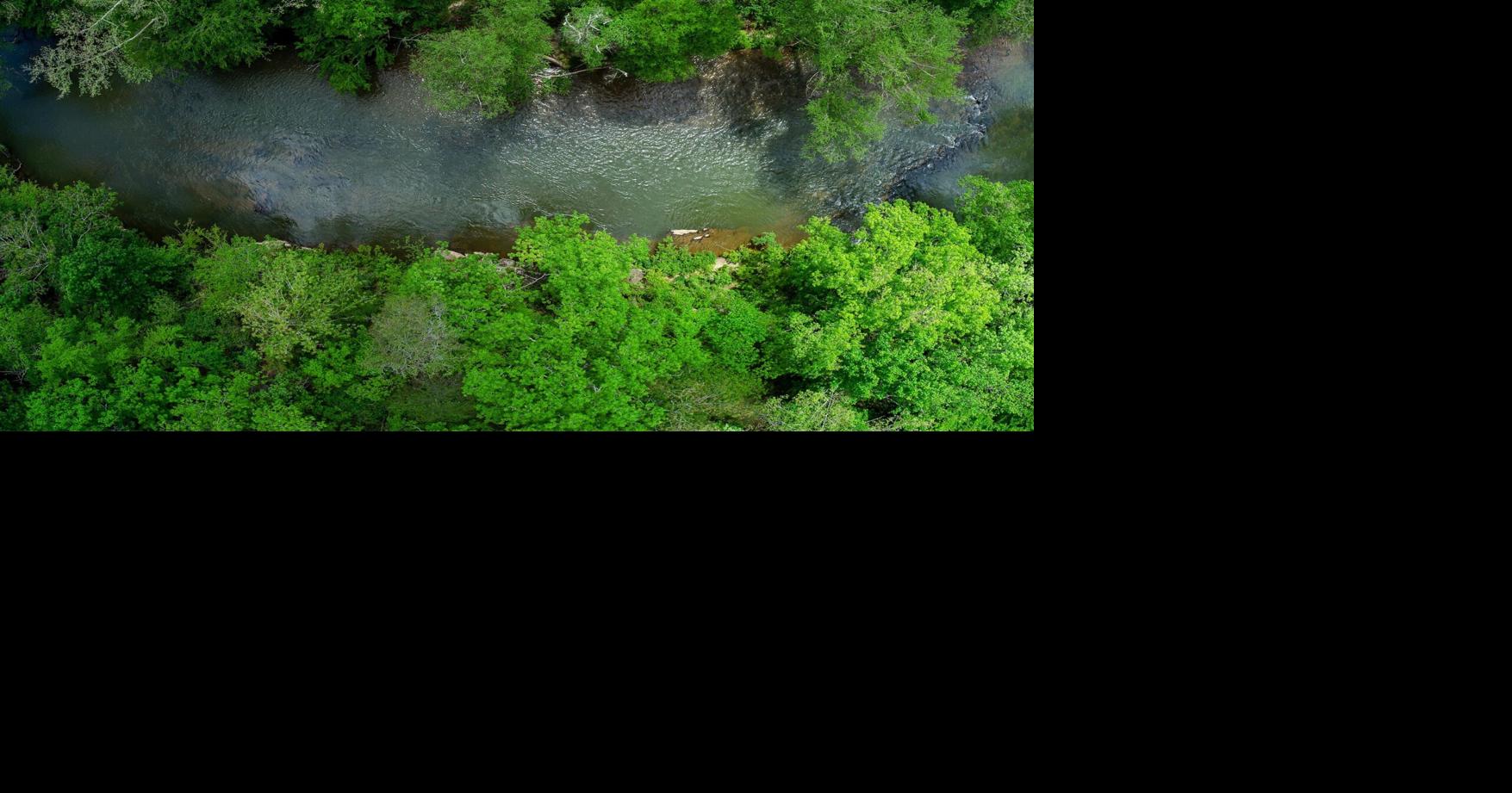 Piedmont Land Conservancy Transfers 95 Riverfront Acres to Mayo River