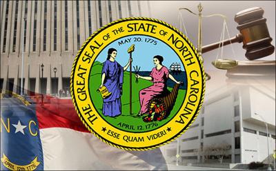 NC government graphic