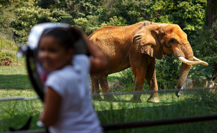 01_jw_lif zoo__E4Q1101.jpg (copy)