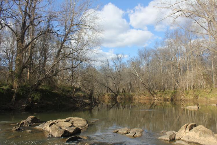 Get Outside: Shallow Ford Natural Area