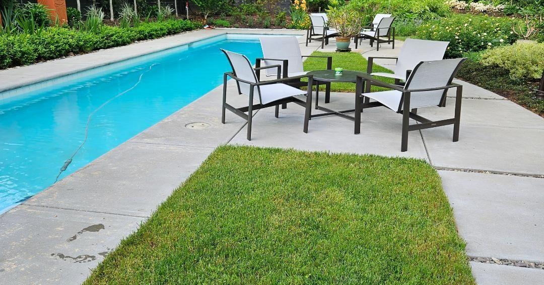 Greensboro garden tour shows yards in splendor