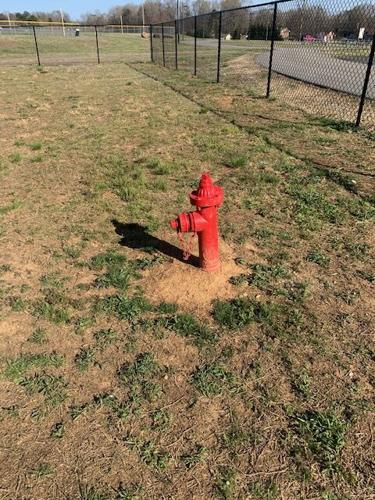 Dog Park 5.jpg