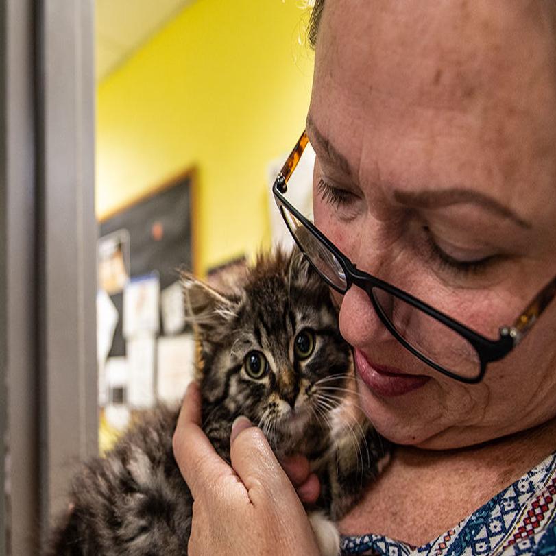 Guilford County Shelter Close To Capacity After More Than 40