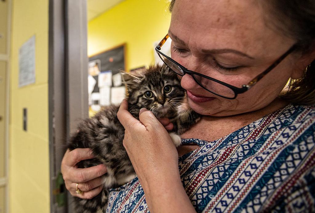 Guilford County Shelter Close To Capacity After More Than 40