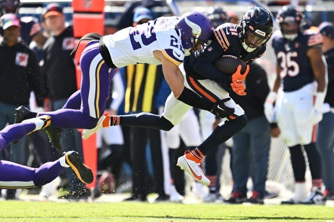 NFL: Minnesota Vikings at Carolina Panthers, Fieldlevel