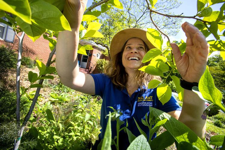 Alyssa McKim yard gardening 9004 copy.jpg