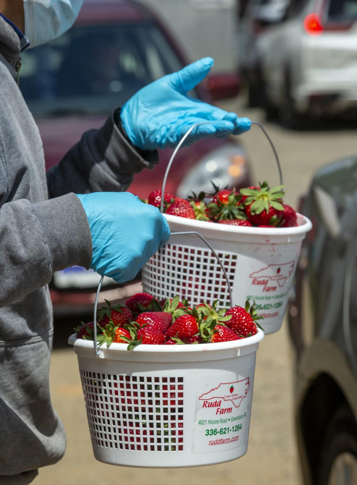 Berried Treasure For Greensboro Residents Strawberry Season Is Their Jam Pandemic Or Not Local News Greensboro Com