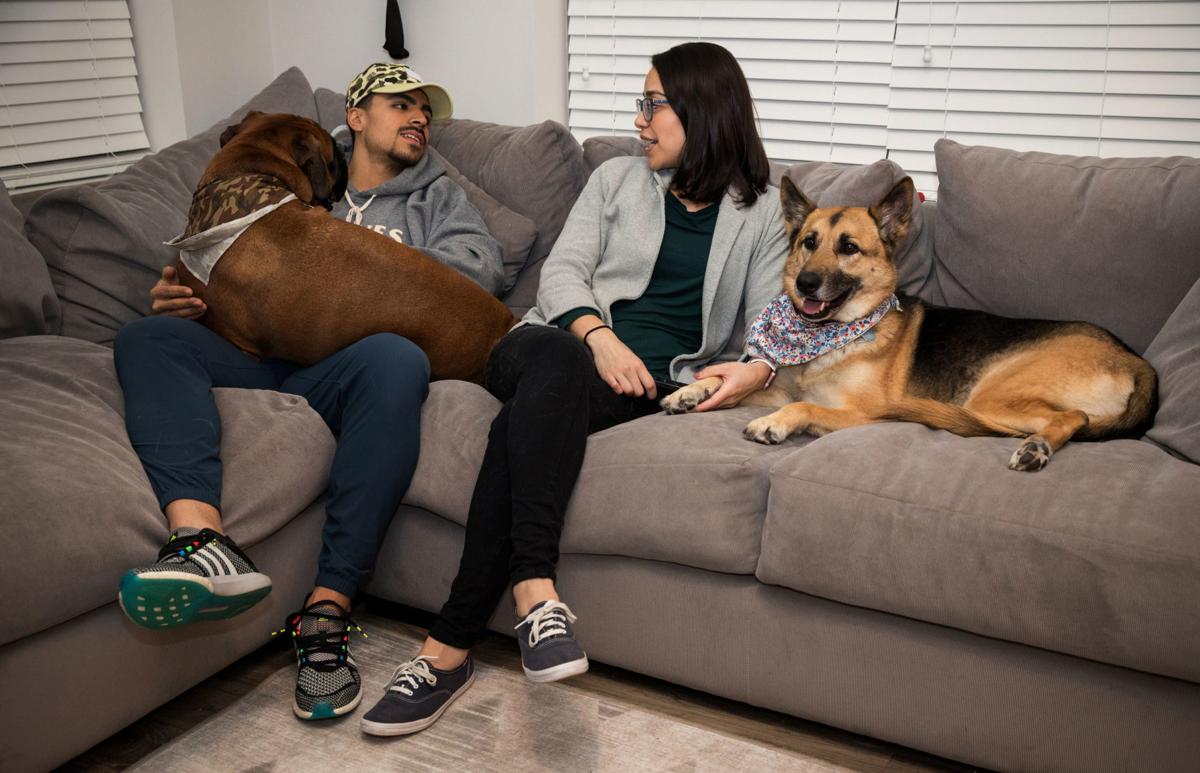 Wallpaper New Technology Allows Pet Owners To Spy On Every Sniff And For Android Free