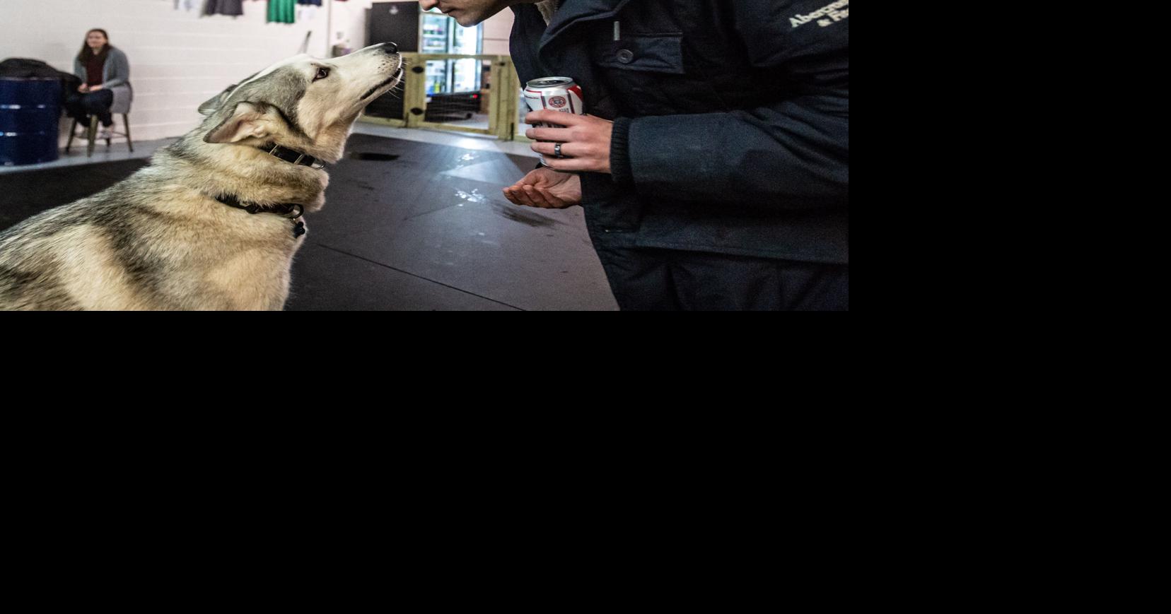 Fur real This Greensboro dog park has a pub. to The Barking Deck.