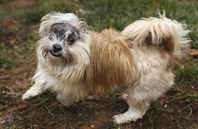 03_lh_Toby update 122414.jpg