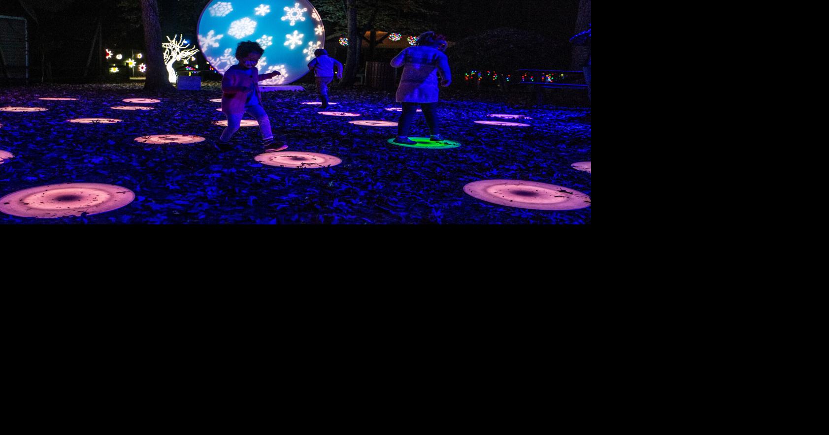 Winter Wonderlights at Greensboro Science Center Big in 2020, even