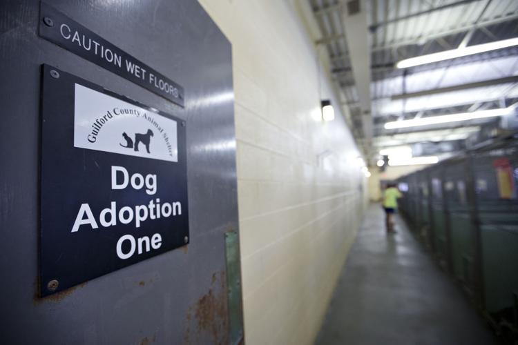 Guilford County Animal Shelter decides to renovate