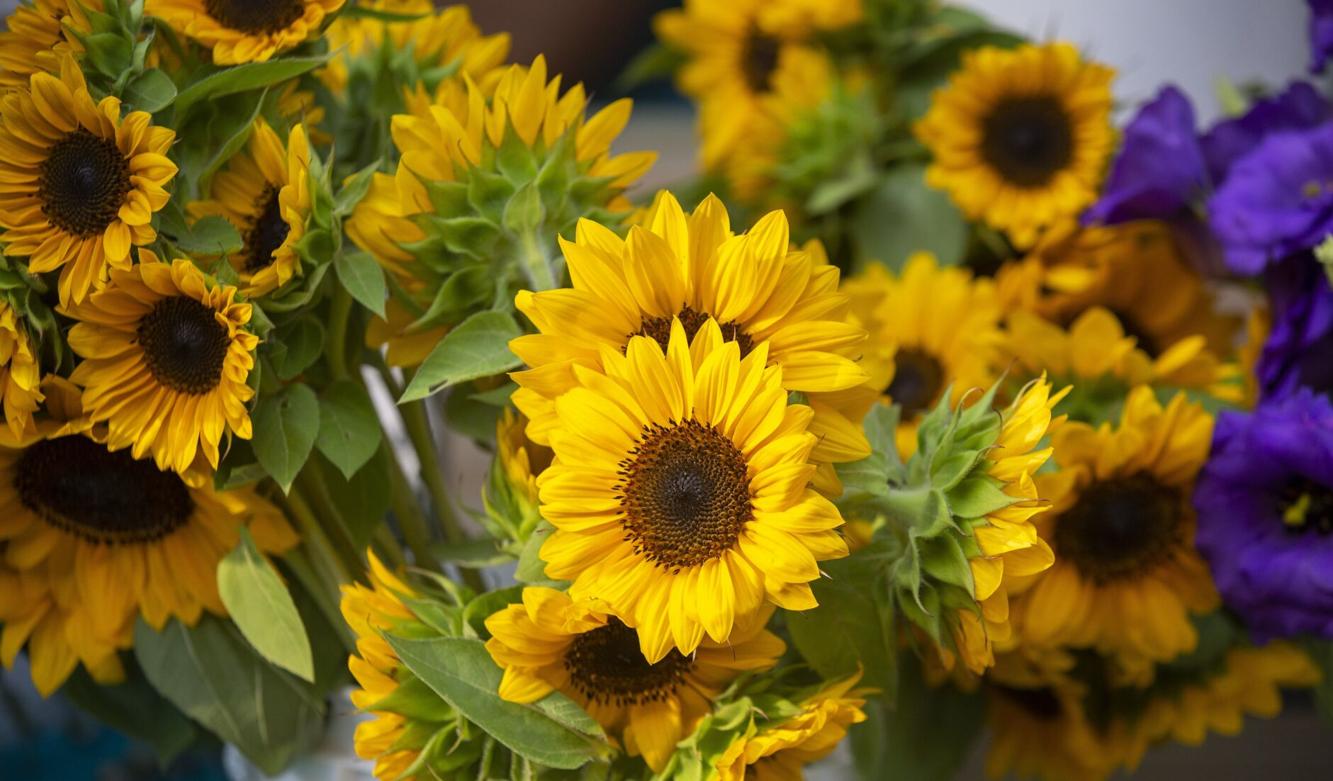 Photos Corner Farmers Market ready for move to new location