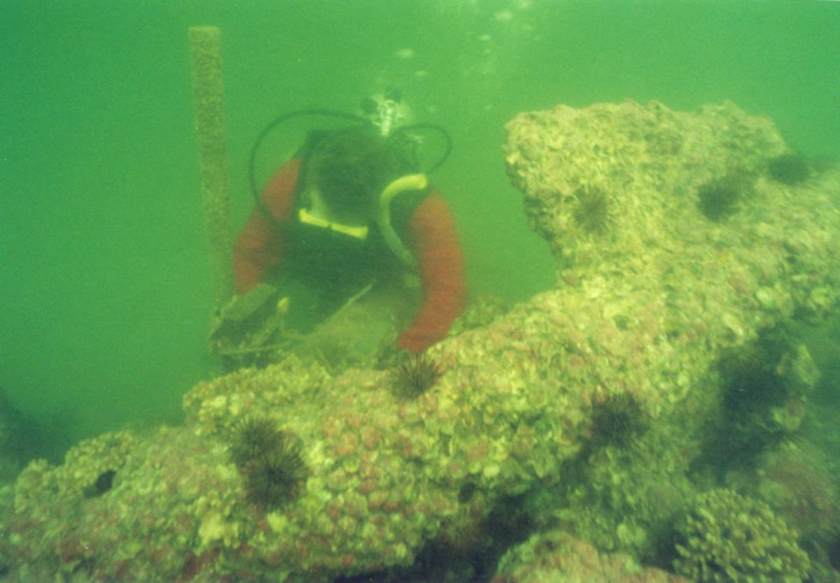 Queen Anne's Revenge
