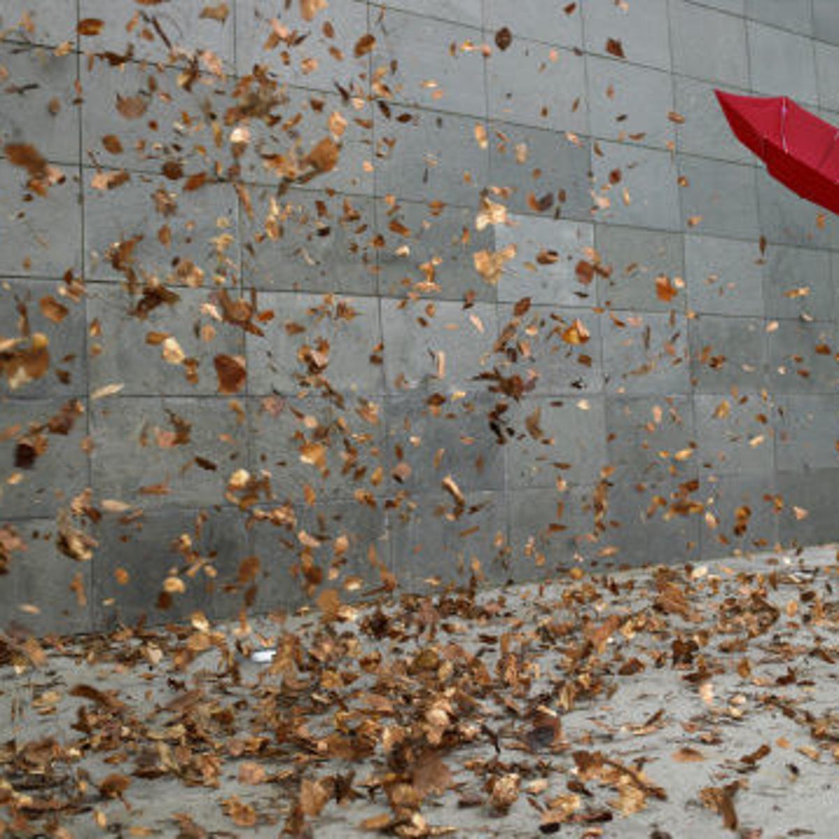 Power Restored To Most Duke Customers In Guilford Outage Map Shows Local News Greensboro Com