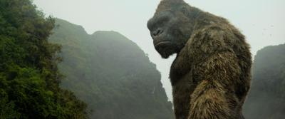 ENTER KONG-MOVIE-REVIEW 2 MCT