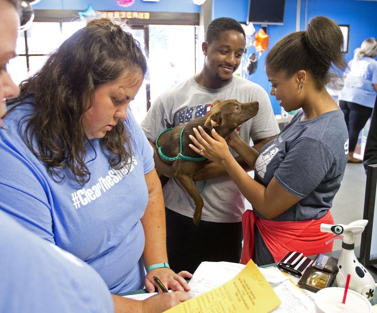 AdoptADog month at Guilford County Animal Shelter