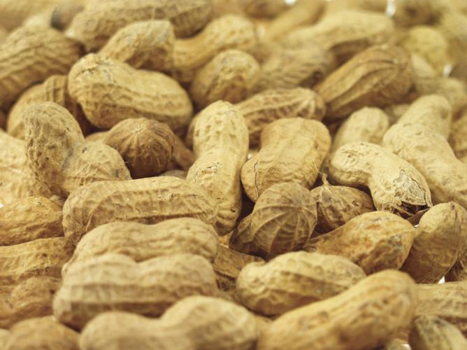 peanuts in shell