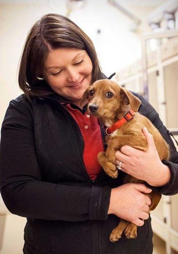 Ann Fish: Career is a calling for animal shelter director Brittany Flynn Ann Fish: Career is a calling for animal shelter director Brittany Flynn
