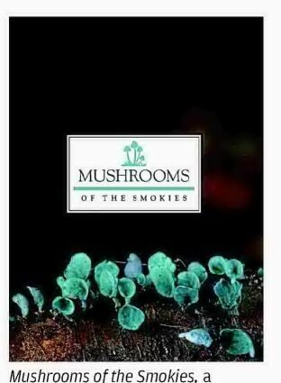 New field guide demystifies mushrooming in the Smokies