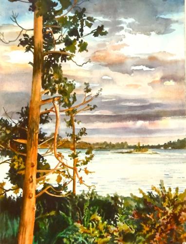 Meet an Artist - Adele Wayman