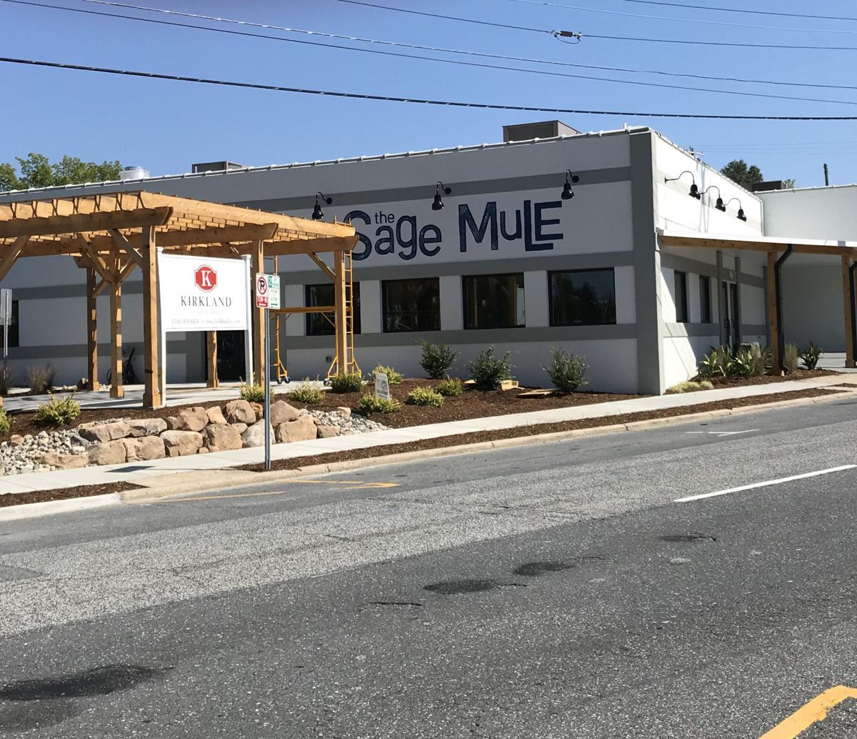 Sage Mule