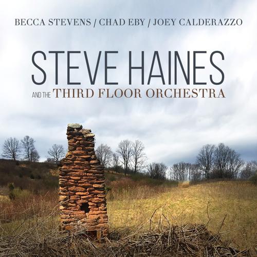 "Steve Haines and the Third Floor Orchestra"