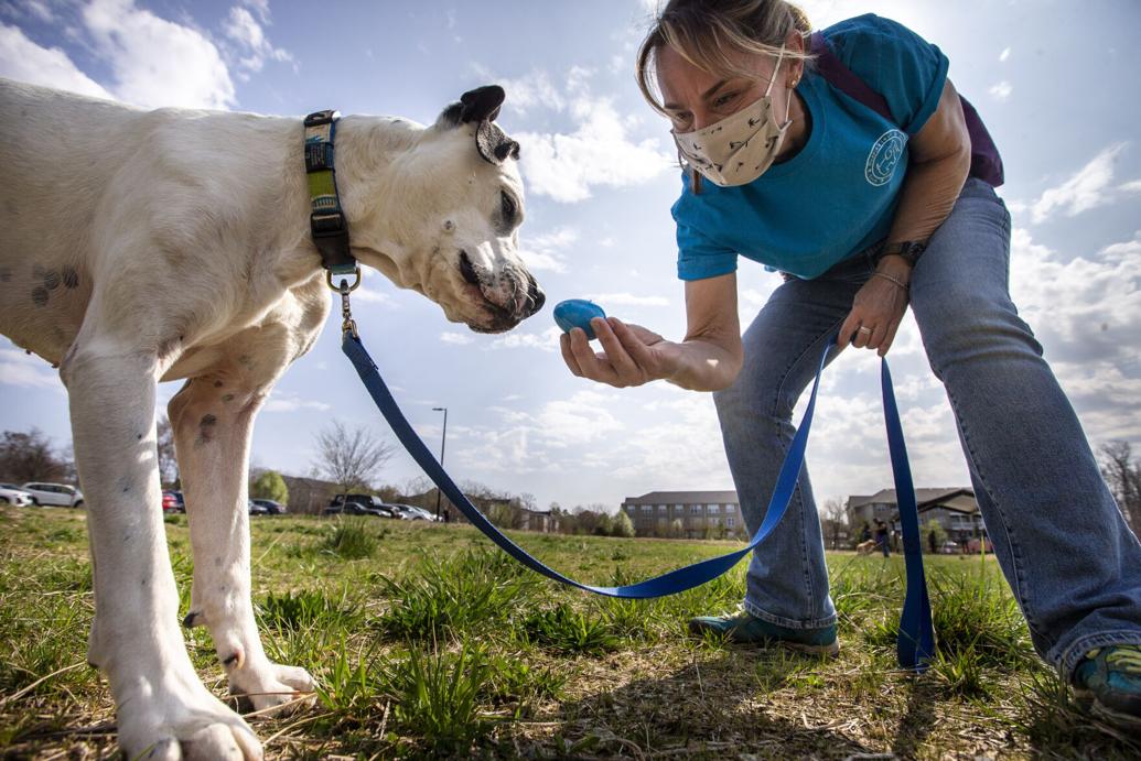 Here are Easter egg hunts in Greensboro and WinstonSalem