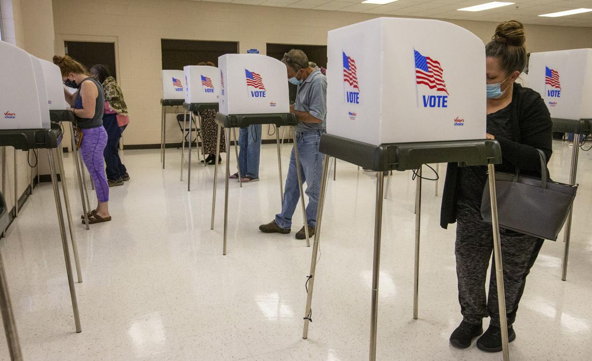 Early voting (copy)
