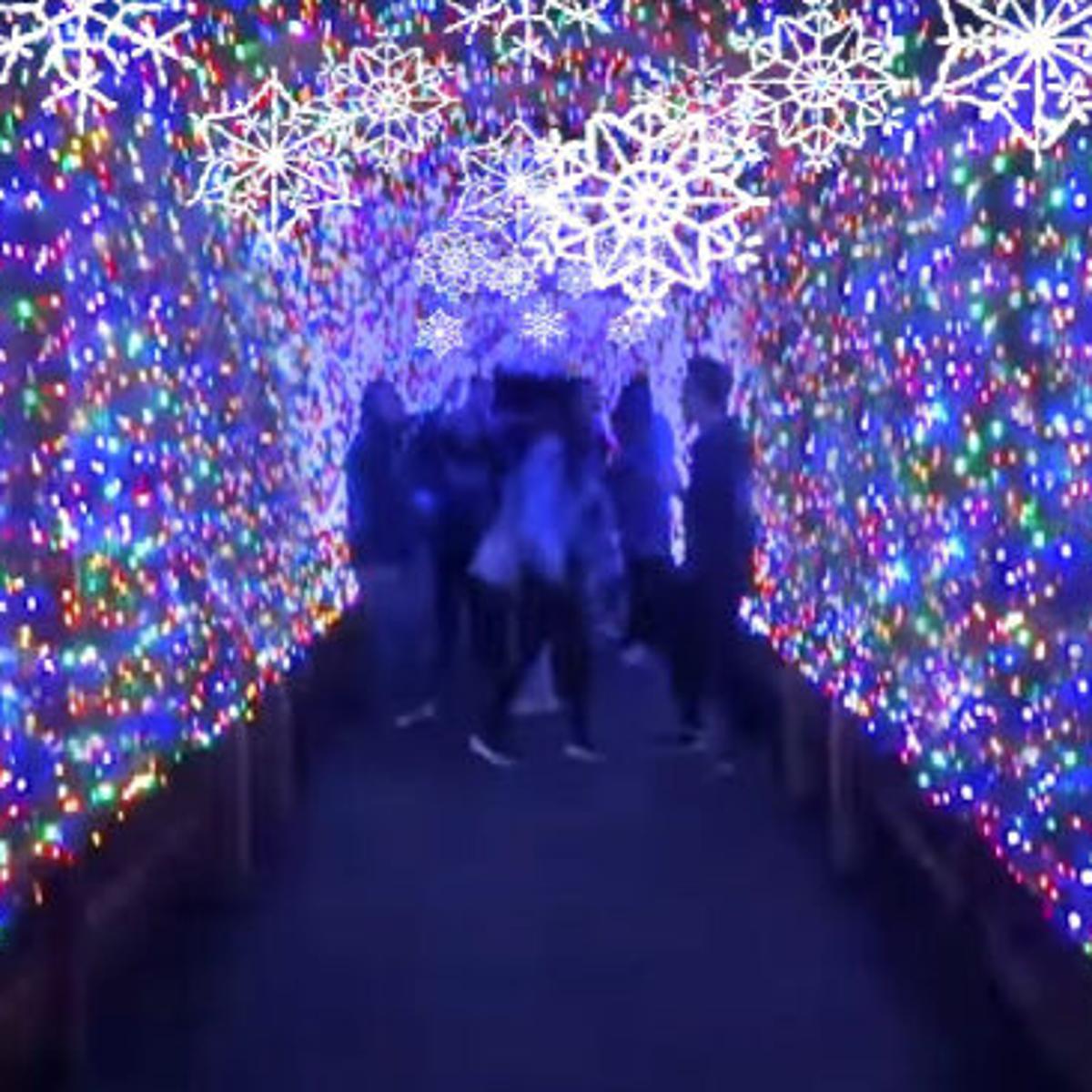 Greensboro Science Center Will Hold A Holiday Walk Through Light Display Blog Go Triad A E Extra Greensboro Com
