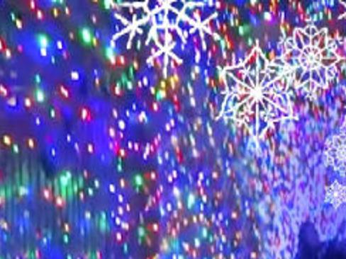 Greensboro Science Center will hold a holiday walk-through ...