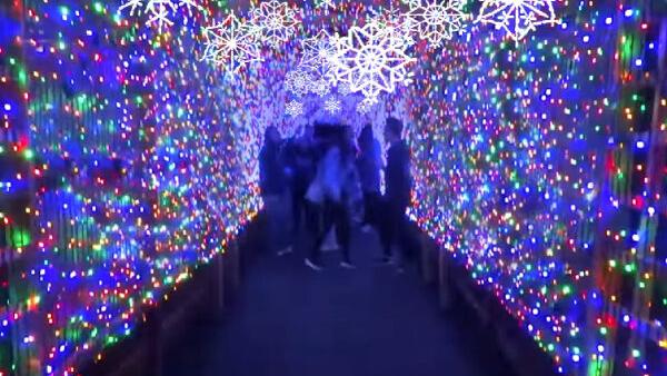 Greensboro Science Center Will Hold A Holiday Walk Through Light Display Blog Go Triad A E Extra Greensboro Com Greensboro Festival Of Lights 2022