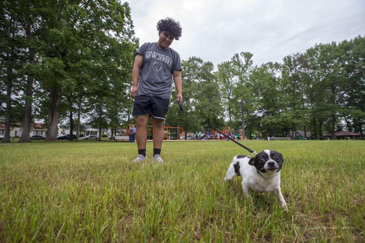Henry Street is billed as the city's first 'multigenerational' park