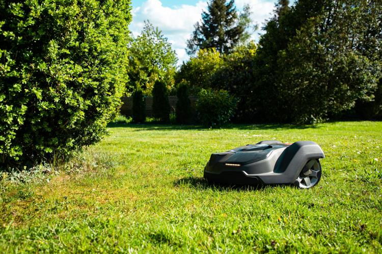 Home Garden Hedge Meadow and Trees Robotic Mower