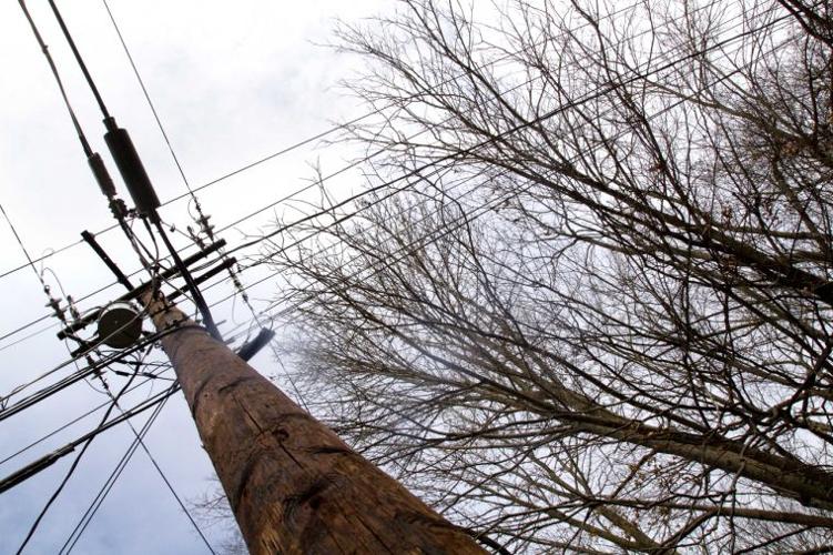 Residents angered by Duke Energy's tree-removal policy