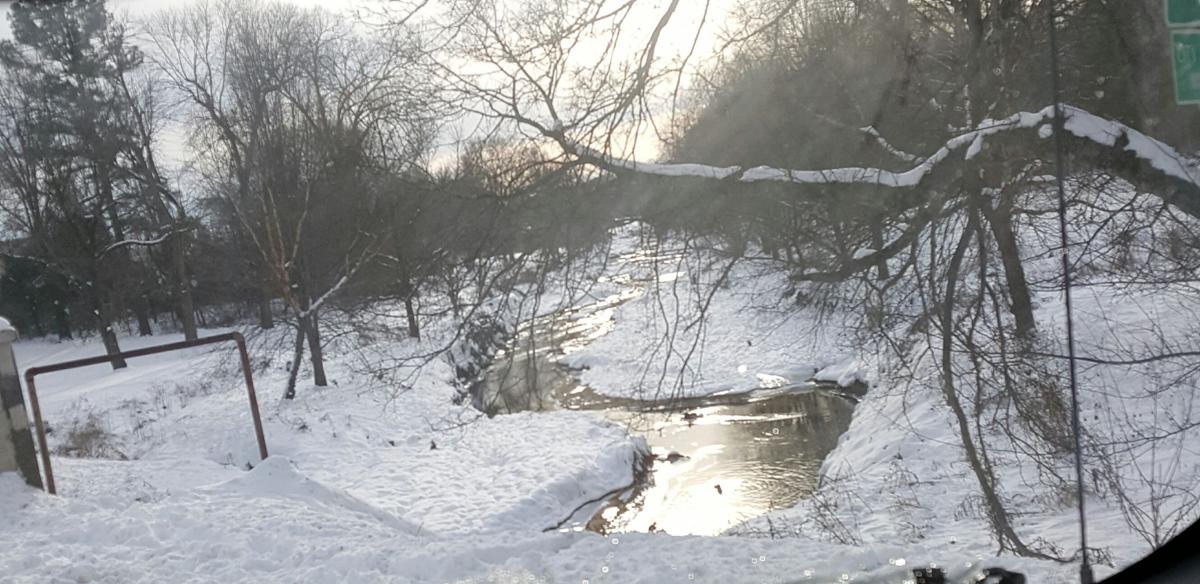 First winter storm Gallery