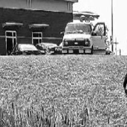 Car Rolls Down A Hill Into A Pond Greensboro Com