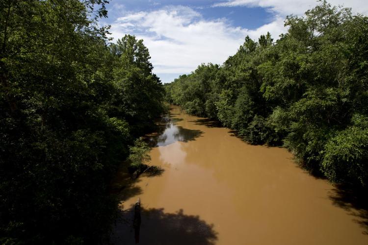 The Piedmont Land Conservancy buys Mayo River land