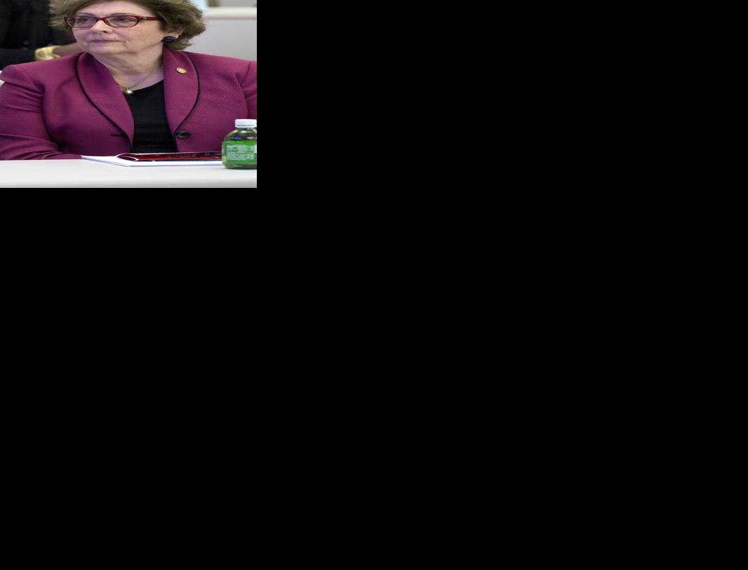 Former N.C. Sen. Trudy Wade (copy)
