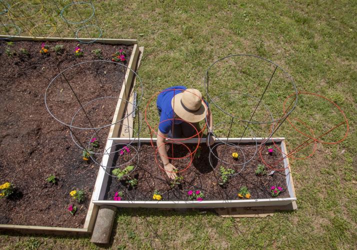 Alyssa McKim yard gardening 9126 copy.jpg