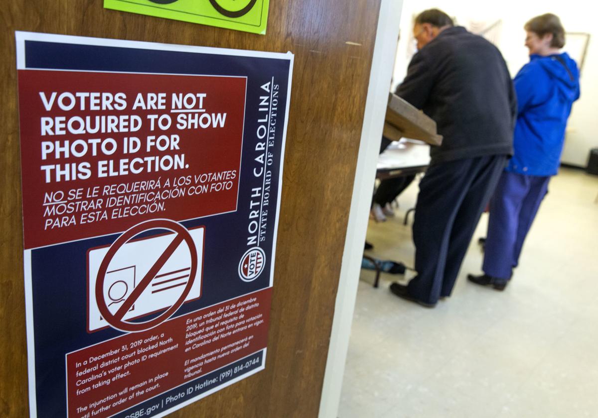 Primary election voting (copy)