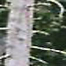 Ex Boyfriend Pleads Guilty In Missing Greensboro Woman S Death Latest News Greensboro Com