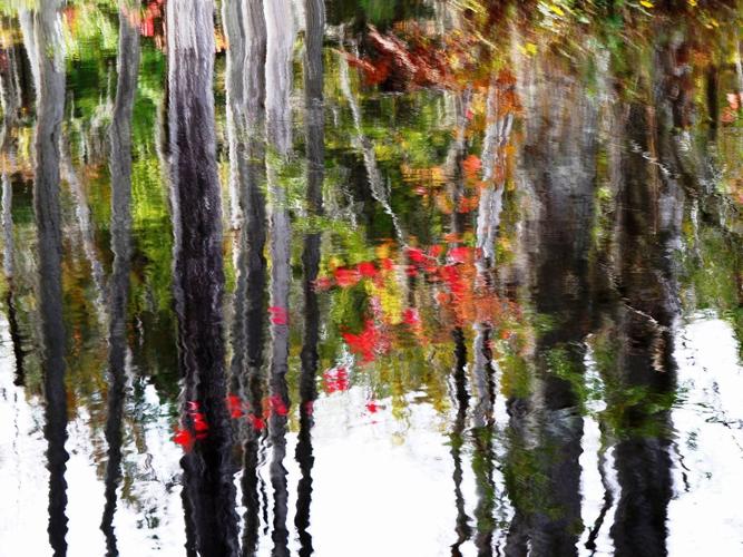 Greensboro Jewish Artists Art Show and Sale