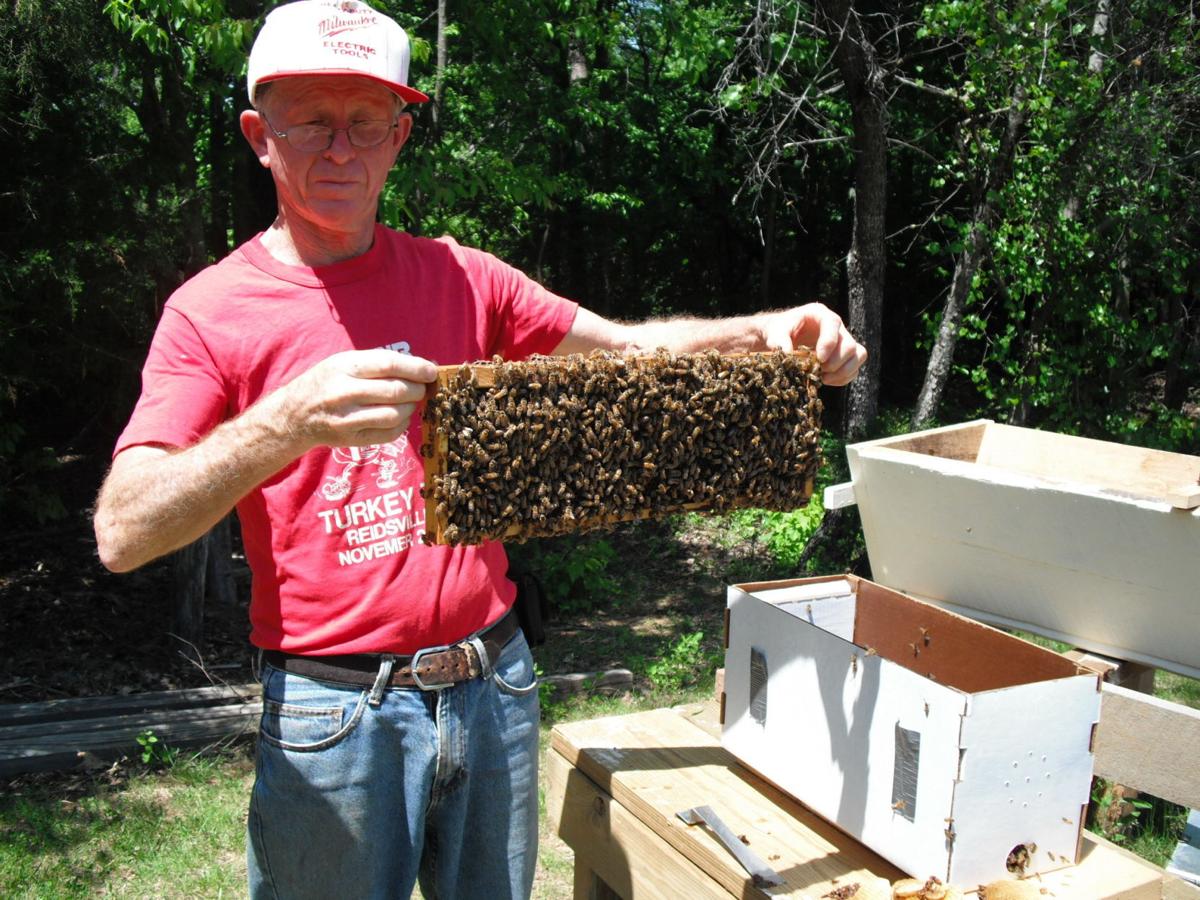Beekeepers Association continues to help during COVID19 Latest News