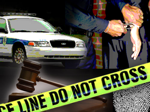 police sheriff car graphic