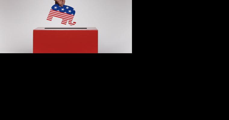 Tax cuts a priority for candidates in Guilford primary - Vimarsana News