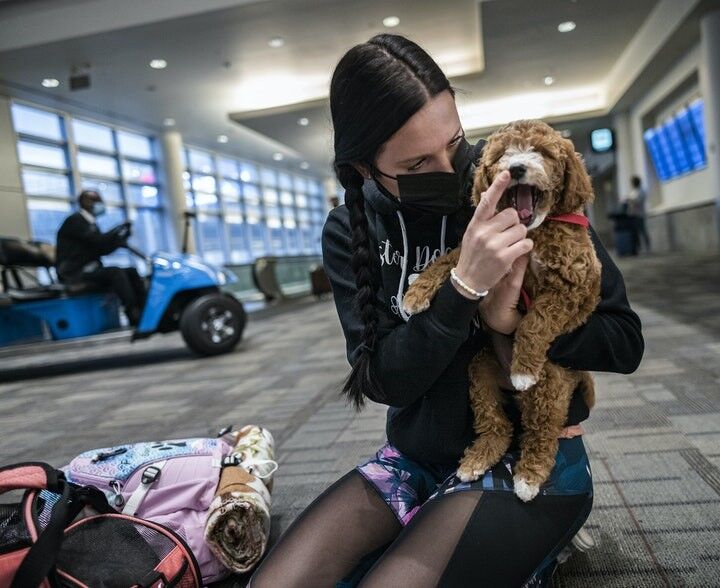 LIFE-PETS-FLIGHT-NANNIES-MS