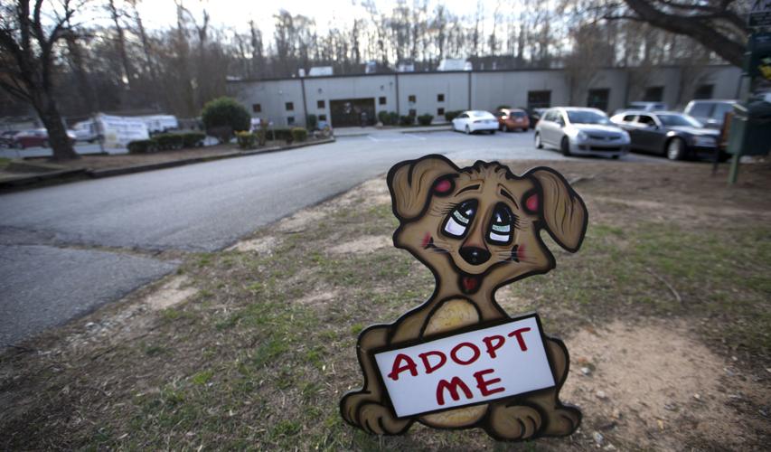 Guilford County Animal Shelter decides to renovate
