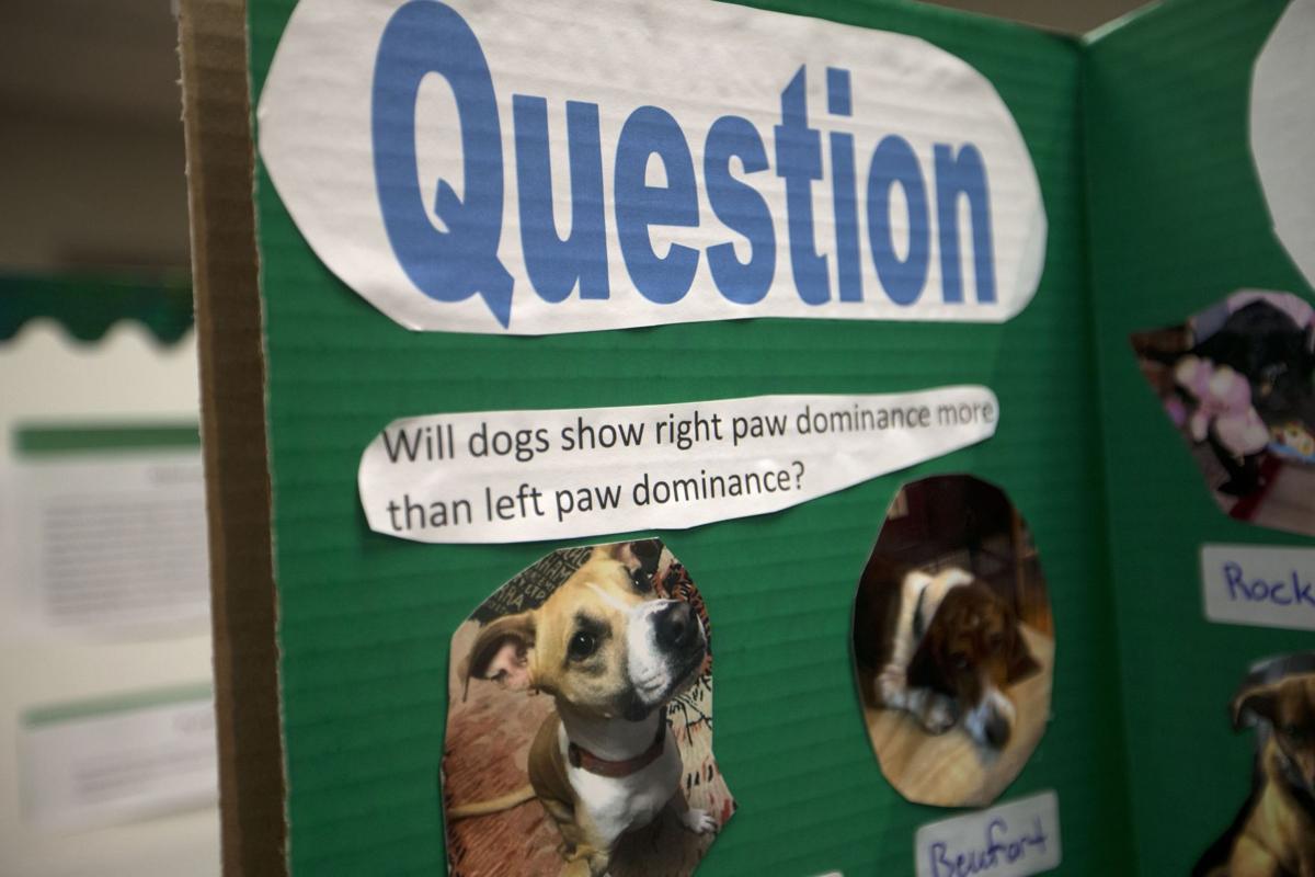 Students Show Off Their Science Smarts At Guilford S Annual Science Fair Education Greensboro Com