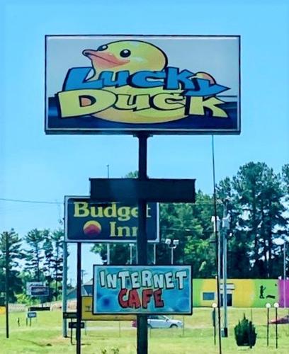 Lucky Duck